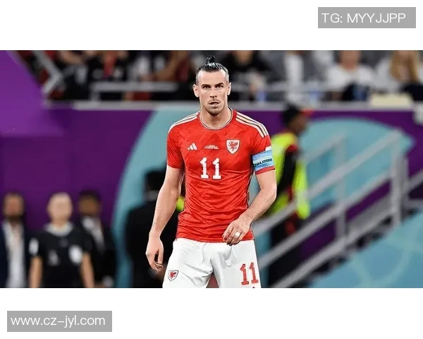 2023年最新退役足球明星名单及其职业生涯回顾分析