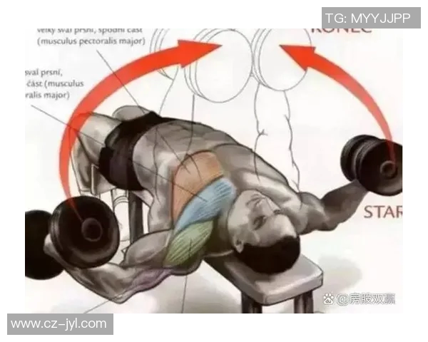 俯身哑铃飞鸟的正确呼吸技巧与训练效果解析